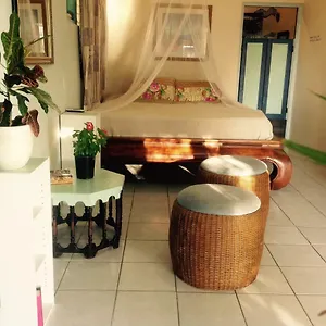  Homestay Magical Garden